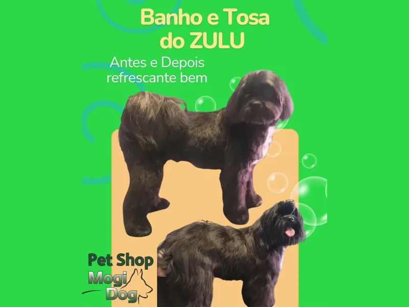Montagem de antes e depois do banho e tosa do cão Zulu, de pelagem escura